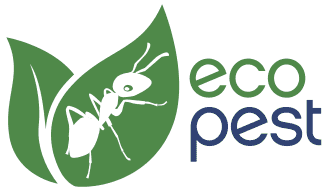 pest control dartford