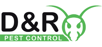pest control Walthamstow